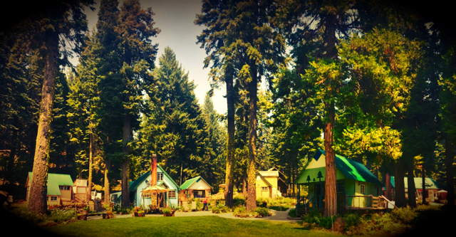 california wedding venue cabins